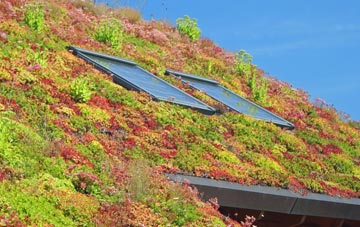 Poolbrook living roof systems